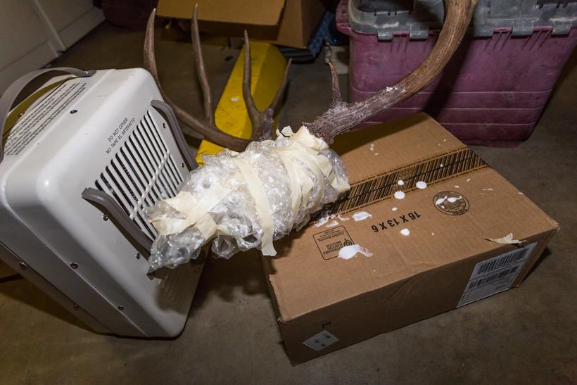Skull wrapped in bubble wrap