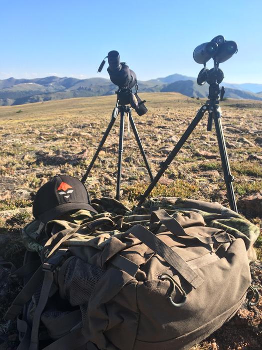 Glassing for mule deer with vortex optics