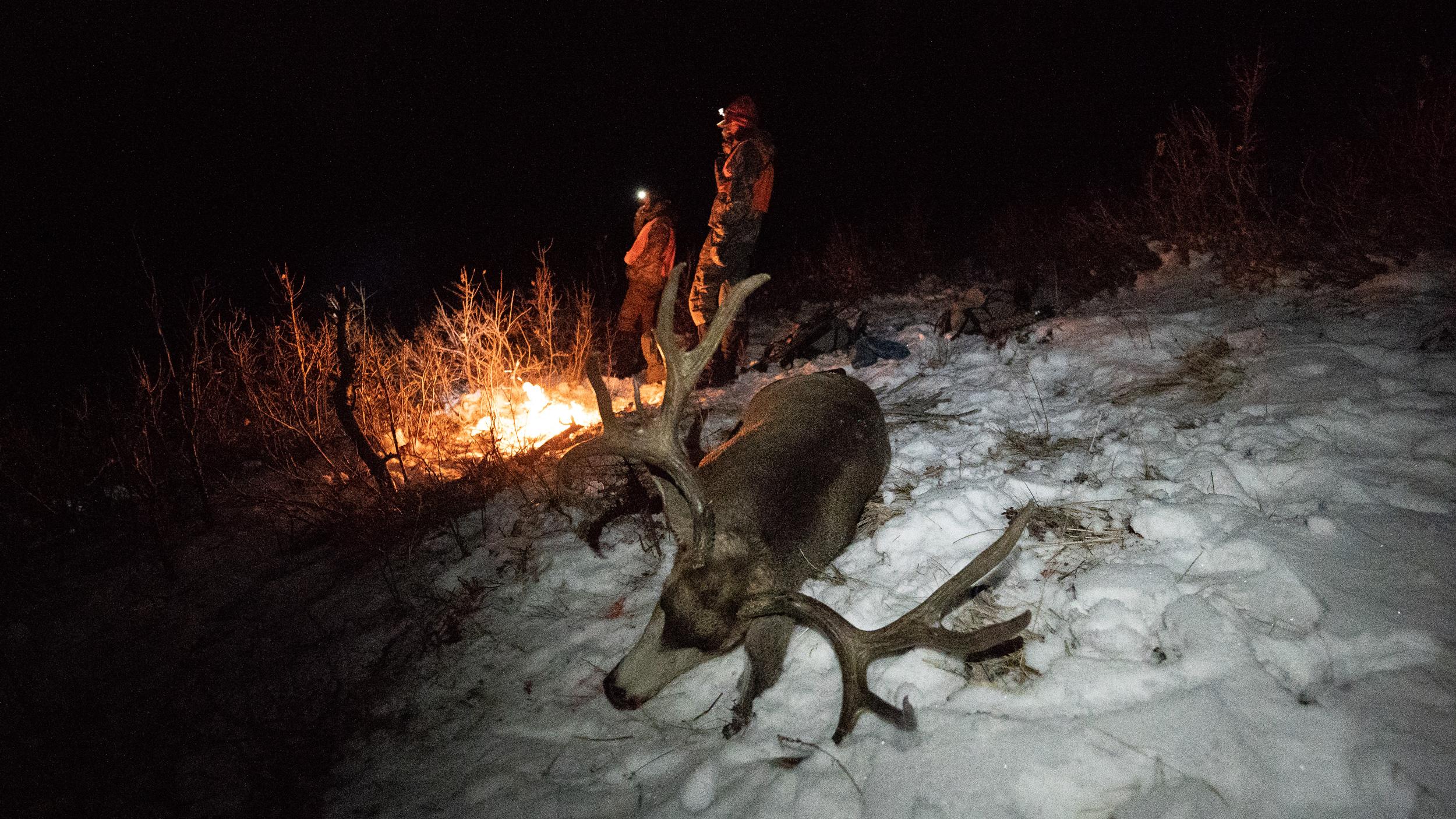 Brady Miller big mule deer buck in snow with campfire