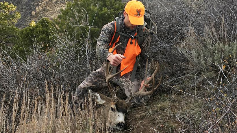 Colorado third season deer 1995