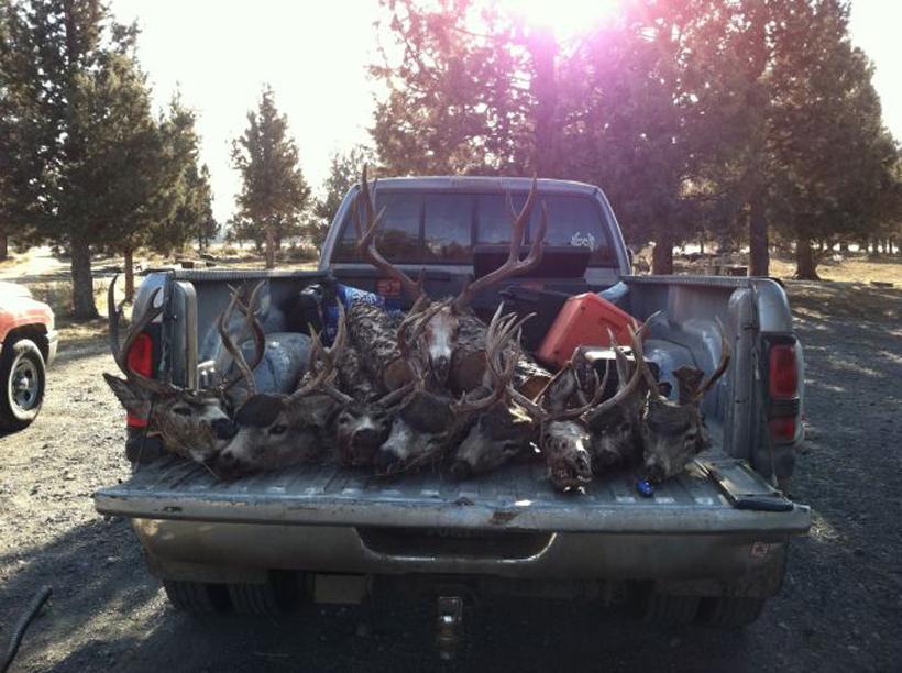 Large Oregon poaching case