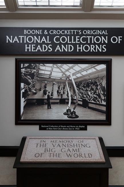 Boone and crockett national collection of heads and horns 1