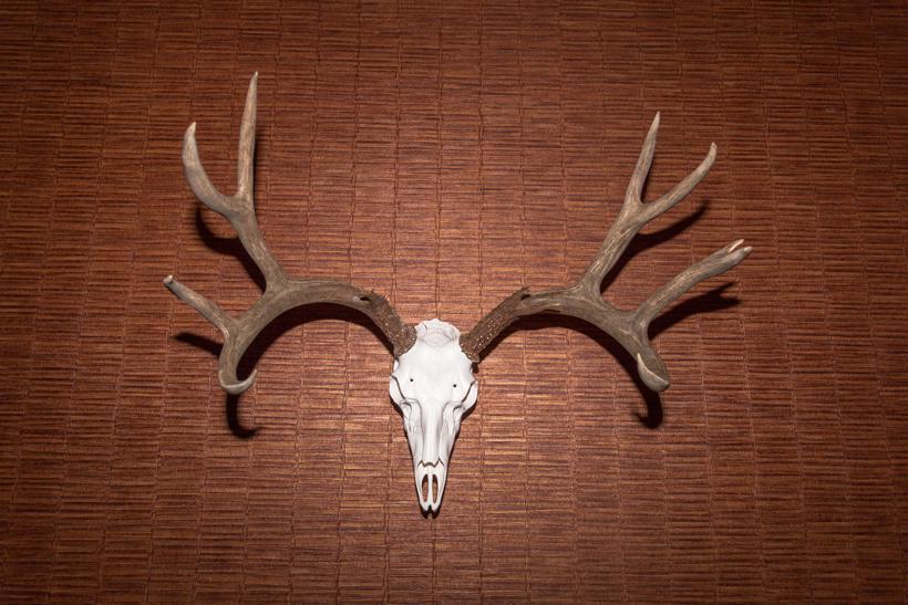 Finished diy mount 13