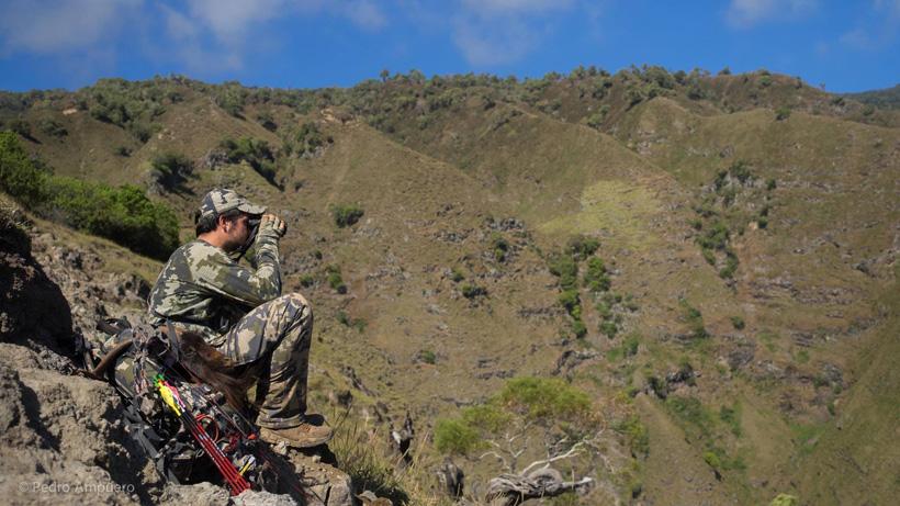 Pedro De Ampuero glassing for animals in Hawaii