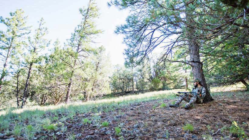 Waiting on animals while archery hunting
