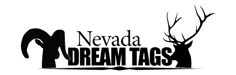 Nevada dream tags