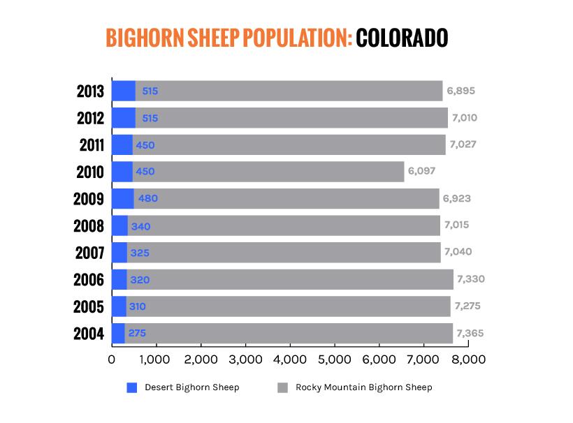 Bighorn sheep colorado population chart_1