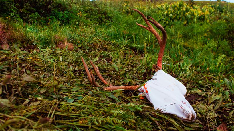 Archery mule deer hunt tips 3