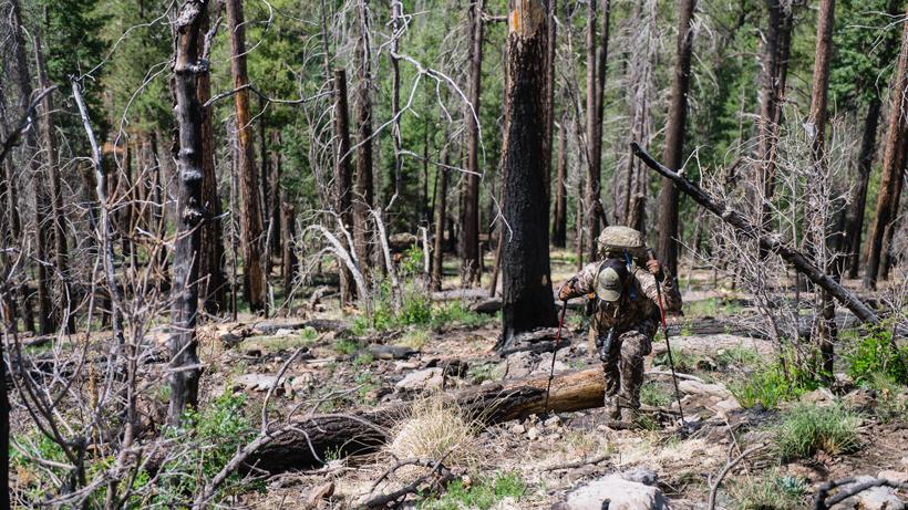 Physical side of hunting