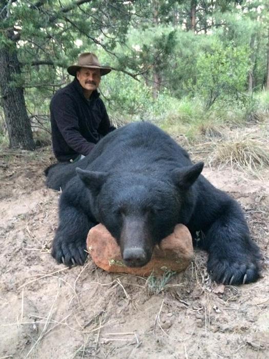 Large black bear taken with arizona high country outfitters