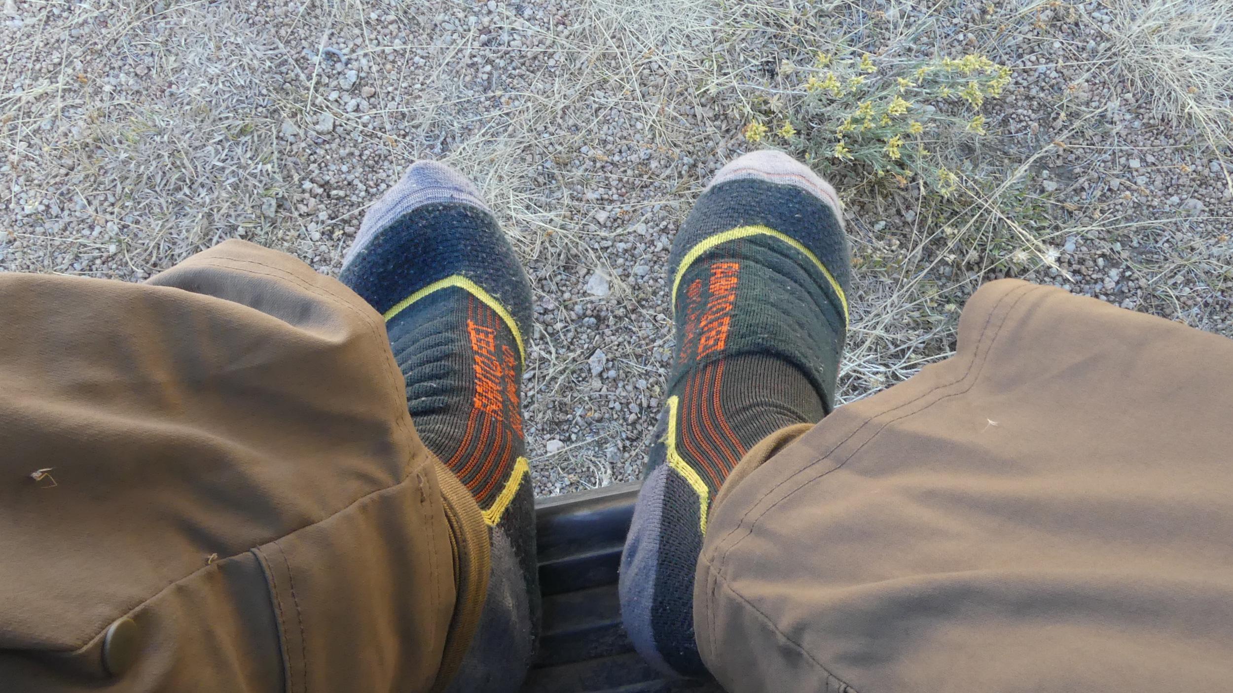 Farm to Feet Damascus merino wool socks back at the truck
