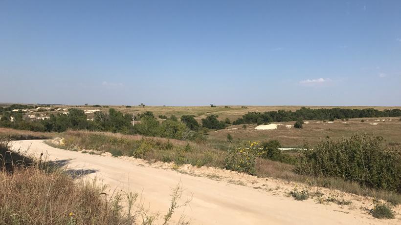 Kansas whitetail hunt