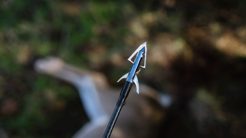 Broadhead