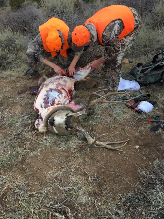 Colorado third season deer 2006