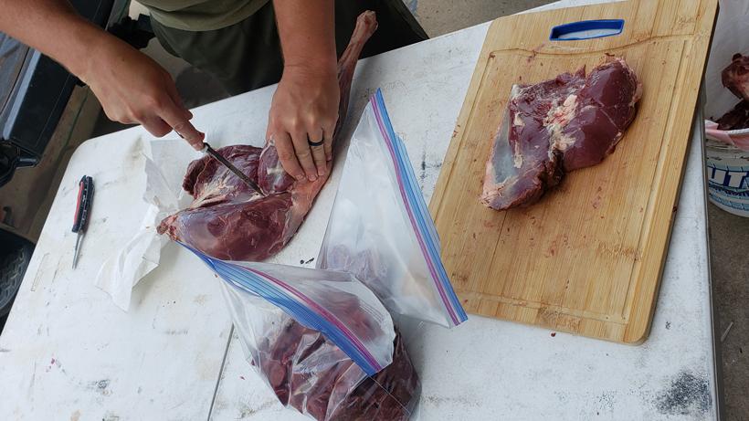 Hot hunts meat care 3