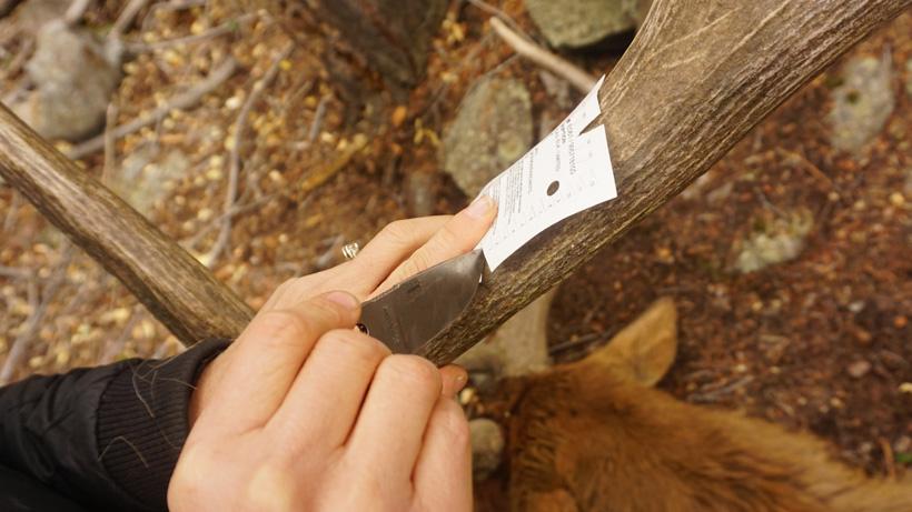 Tyto esee izula stainless steel knife