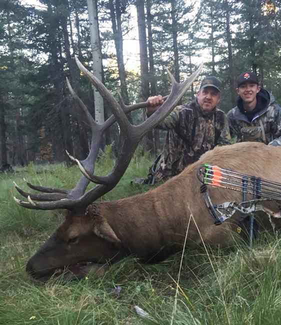 Austin folkman of arizona big game hunting guided client to this arizona bull elk