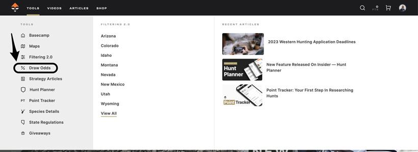 How to navigate to gohunt detailed draw odds page