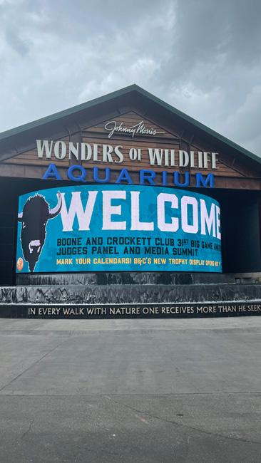 Boone and crockett big game awards