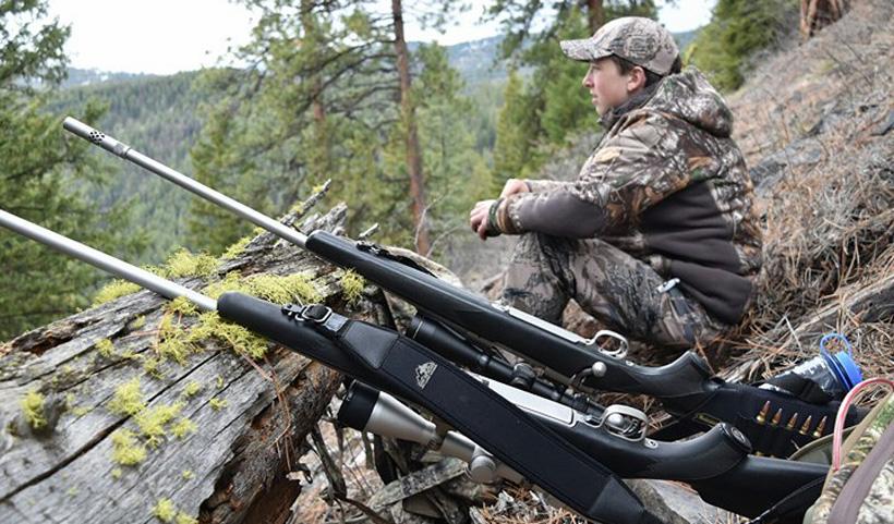 Looking for montana spring black bears