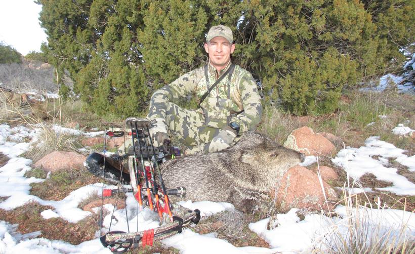 Steve barker with an arizona javelina with his hoyt bow