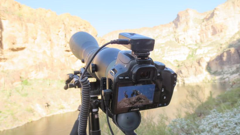 Swarovski digiscoping setup for hunting