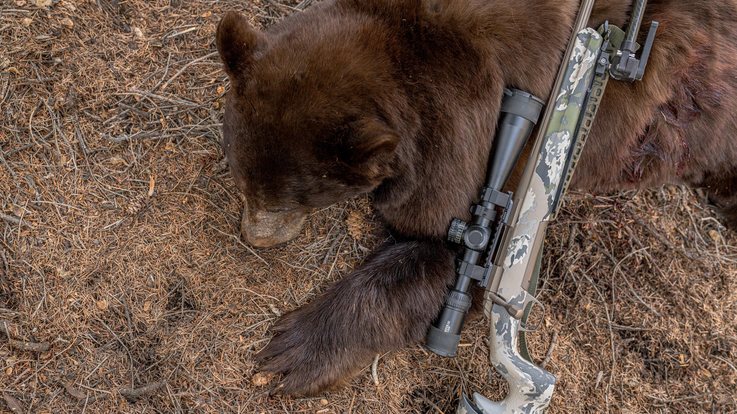 Browning X-Bolt rifle after a successful black bear hunt