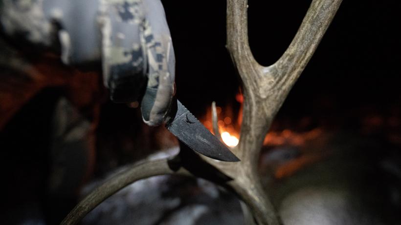 Mule deer knife
