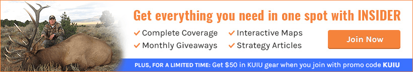 Gohunt insider article image_1