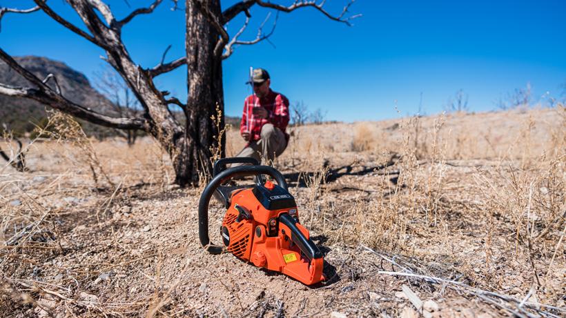 Check out tree stump for pedestal