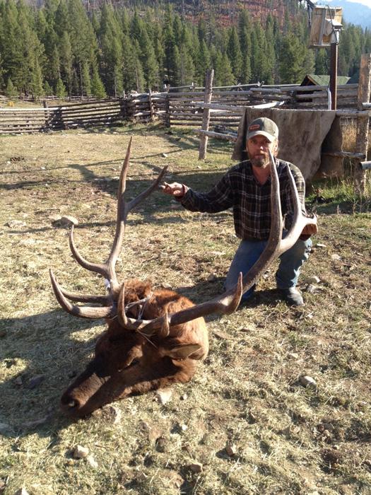 Idaho bull elk taken with diamond d outfitting