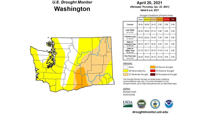 Washington drought monitor