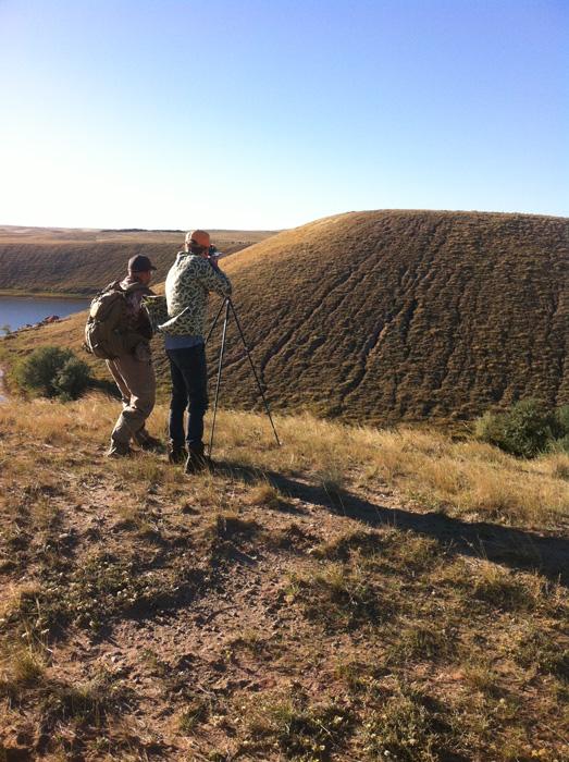 Antelope shot with shooting sticks