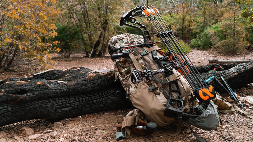 Carbon bow worth it 3