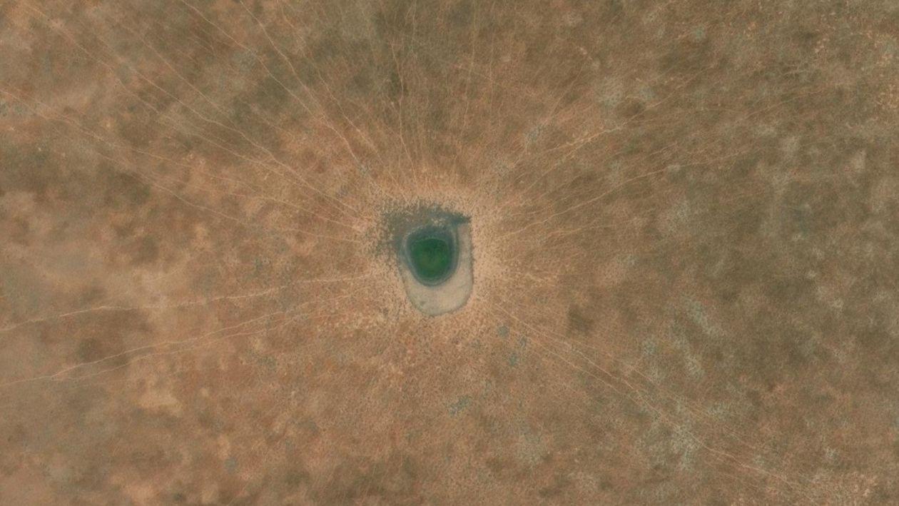 Aerial of waterhole with visible game trails converging