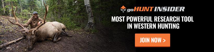 Insider_2019_820x200_v2