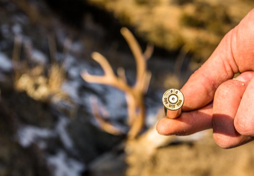 300 win mag with mule deer buck