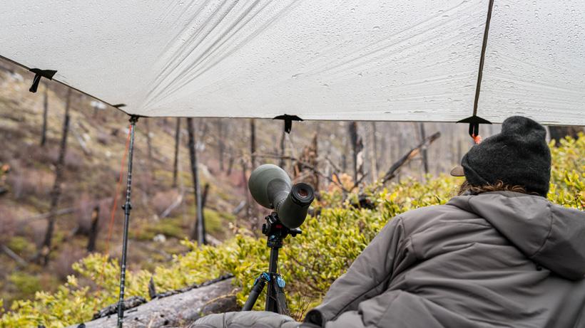 Seek outside dst tarp