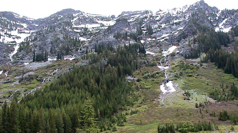 Typical spring bear country and one of the first places bear will hit after hibernation