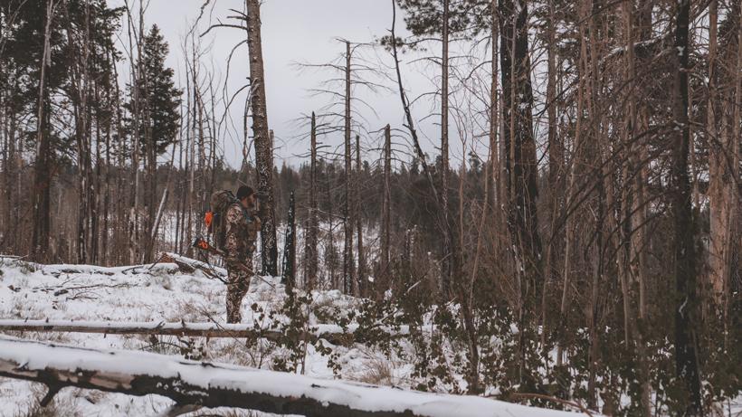 Bow vs rifle kirchner 4