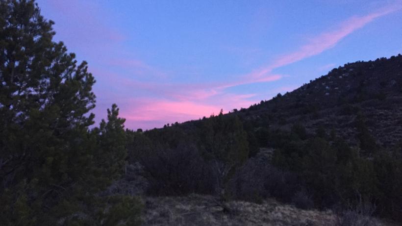 Colorado third season deer 1314