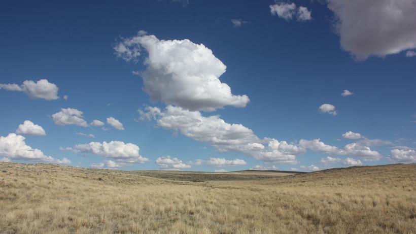Antelope hunting the wyoming plains