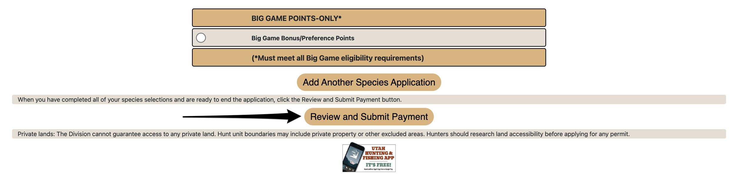 Review and submit payment button