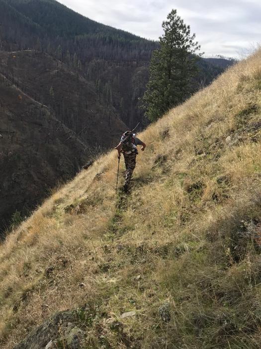 Hunter packing out of the valley