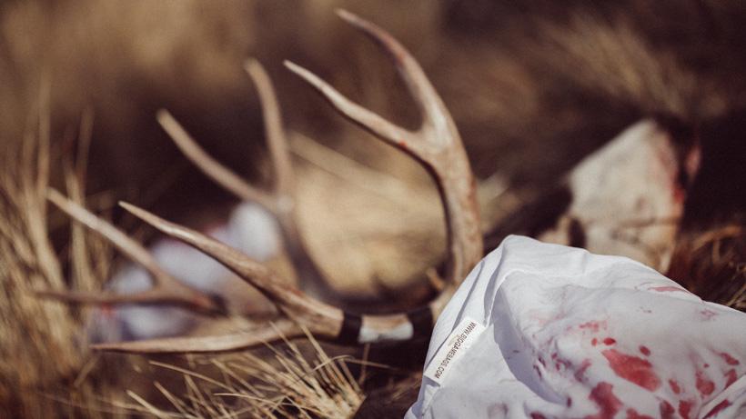 Mule deer with caribou gear game bags