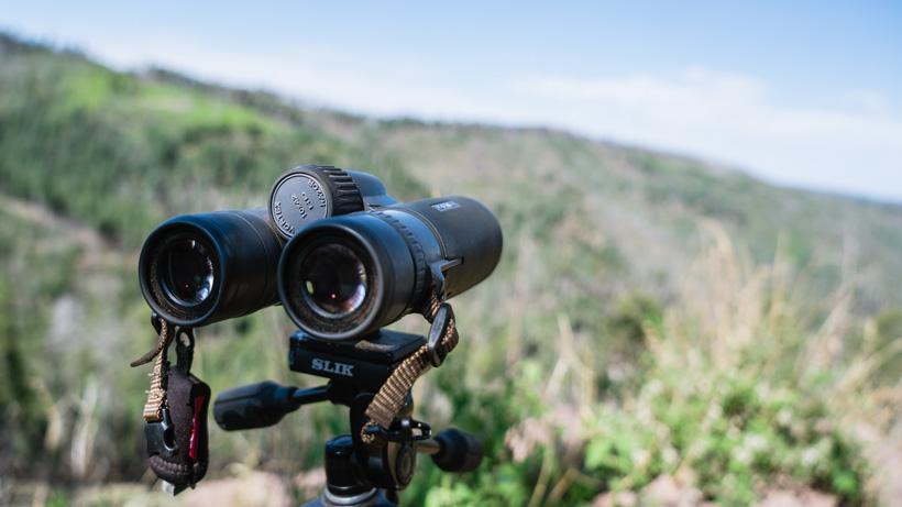Vortex 10 42 binoculars glassing off a tripod