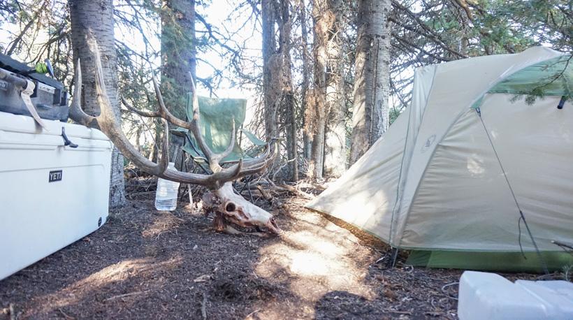 Elk hunting camp