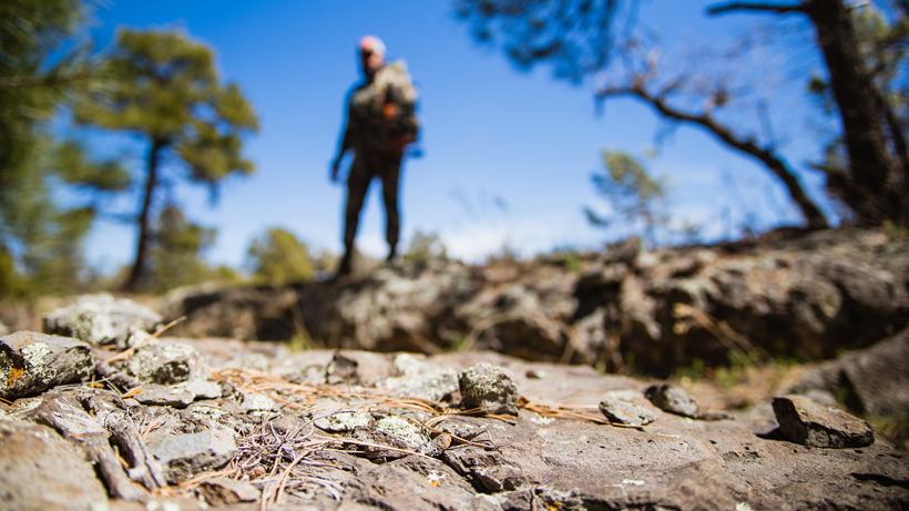 Spot and stalk or ambush hunt what is best