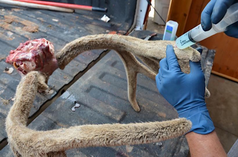 Embalming fluid injection