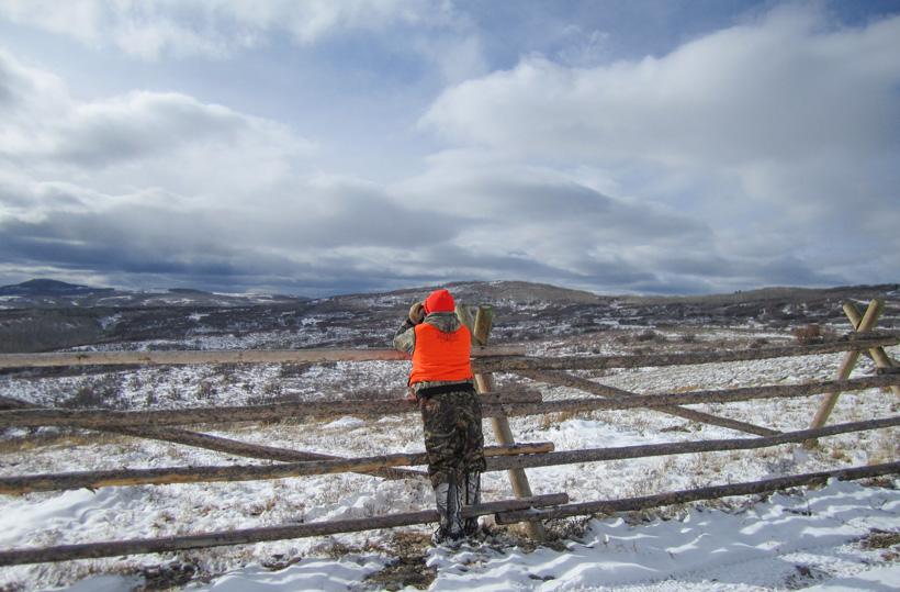 Glassing for mule deer in Colorado
